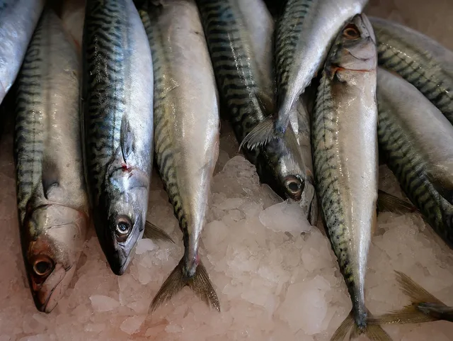 fish, stall, market, food, fresh, ice, et al, nature, power, costs. Prisudvikling i danske markeder: Kostpriser, konkurrence og marginer